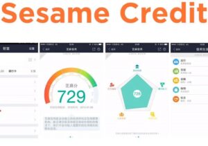 Sesame Gamification